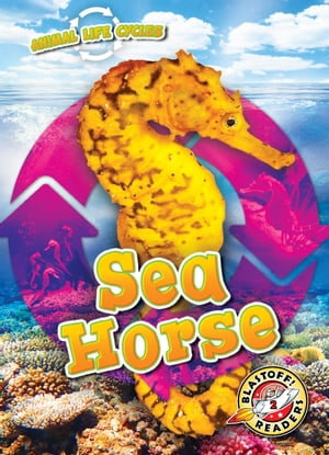 Animal Life Cycles : Sea Horse - Elizabeth Neuenfeldt