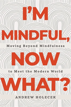 I'm Mindful, Now What? : Moving Beyond Mindfulness to Meet the Modern World - Andrew Holecek