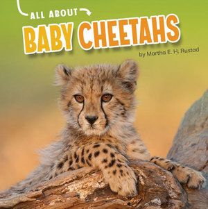 All About Baby Cheetahs : Oh Baby! - Martha E. H. Rustad