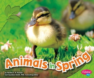 Animals in Spring : All about Spring - John Krenz