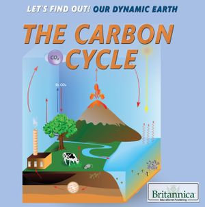 The Carbon Cycle : Let's Find Out! Our Dynamic Earth - Laura Loria