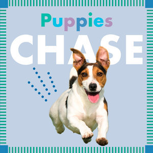 Puppies Chase : Amicus Ink Board Books - Rebecca Stromstad Glaser