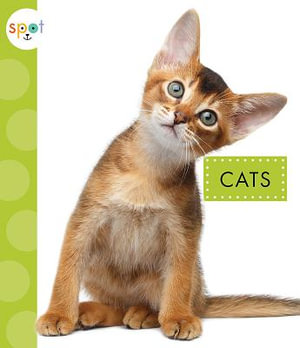 Cats : Spot Pets - Mari C Schuh