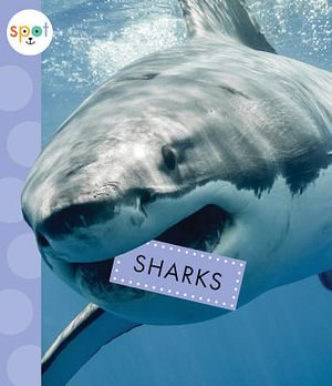 Sharks : Spot Ocean Animals - Mari C. Schuh