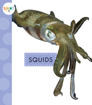 Squids : Spot Ocean Animals - Mari Schuh