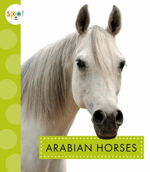 Arabian Horses : Spot Horses - Alissa Thielges