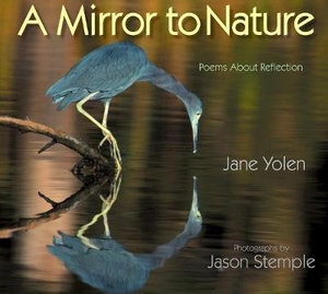 A Mirror To Nature : Poems about Reflection - Jane Yolen