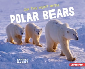 On the Hunt with Polar Bears : Ultimate Predators - Sandra Markle