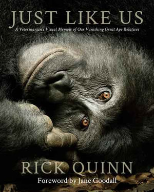 Just Like Us : A Veterinarian's Visual Memoir of Our Vanishing Great Ape Relatives - Dr. Rick Quinn