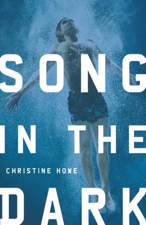 Song in the Dark - Christine Howe