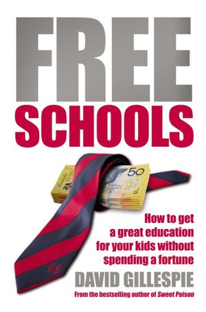 Free Schools : How to Get Your Kids a Great Education without Spending a Fortune - David Gillespie