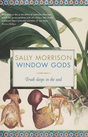 Window Gods - Sally Morrison