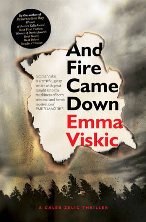 And Fire Came Down - Emma Viskic
