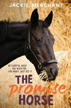 The Promise Horse - Jackie Merchant