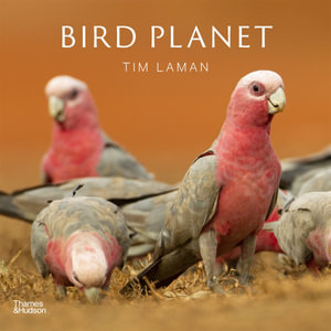 Bird Planet - Tim Laman