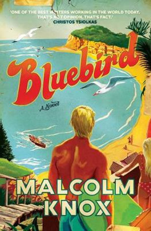 Bluebird : A Novel - Malcolm Knox