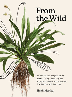 From the Wild : An essential companion to identifying, cooking and enjoying common wild plants for health and healing - Heidi Merika