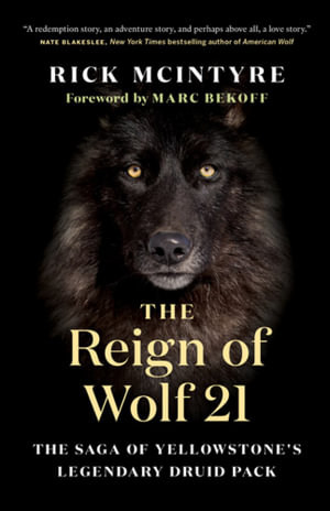 The Reign of Wolf 21 : The Saga of Yellowstone's Legendary Druid Pack - Rick McIntyre