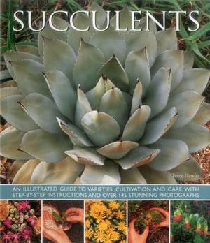 Succulents - Hewitt Terry