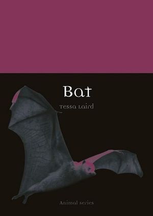 Bat : Animal - Tessa Laird