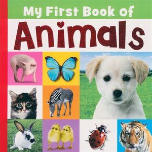 My First Book of Animals - Castle Street Press