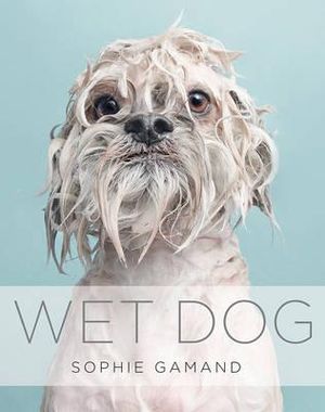 Wet Dog - Sophie Gamand