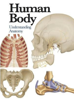 Human Body : Understanding Anatomy - Jane de Burgh