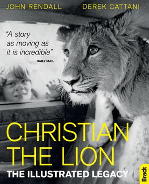 Christian The Lion - Derek Cattani