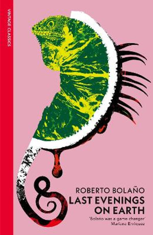 Last Evenings On Earth - Roberto Bolaño