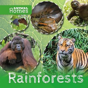 Rainforests : Animal Homes - John Wood