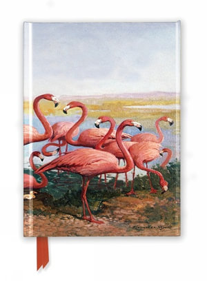 Flamingoes - Foiled Journal : Hardcover - Gerritt Vandersyde