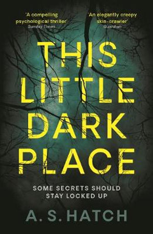 This Little Dark Place : Some Secrets Should Stay Locked Up - A. S. Hatch