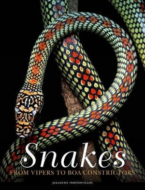 Snakes : From Vipers to Boa Constrictors - Julianna Photopoulos