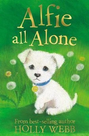 Alfie All Alone : Holly Webb Animal Stories - Holly Webb