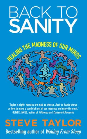 Back to Sanity : Healing the Madness of Our Minds - Steve Taylor