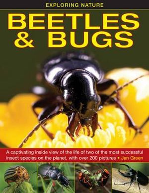 Exploring Nature : Beetles & Bugs - Jen Green