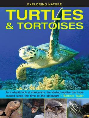 Exploring Nature : Turtles & Tortoises - Taylor Barbara