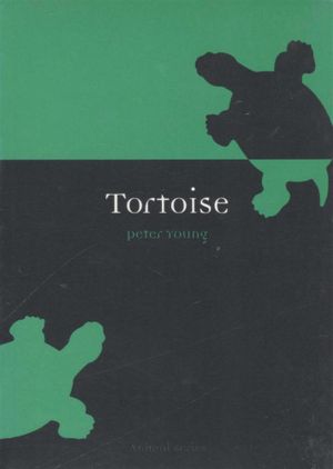 Tortoise : Animal Series - Peter Young