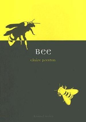 Bee : Animal Series - Claire Preston