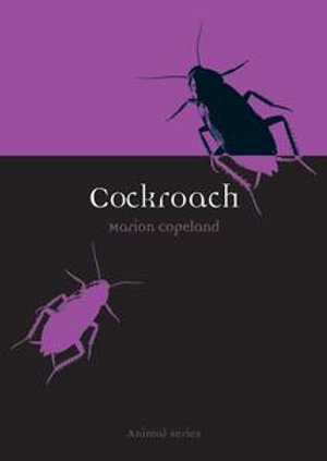 Cockroach : Animal - Marion Copeland