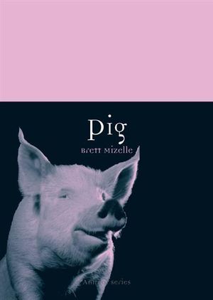 Pig : Animal Series - Brett Mizelle