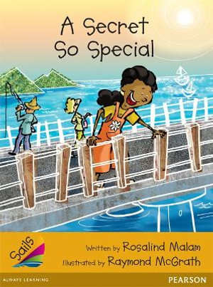 Sails Fluency Gold : A Secret So Special - Rosalind Malam