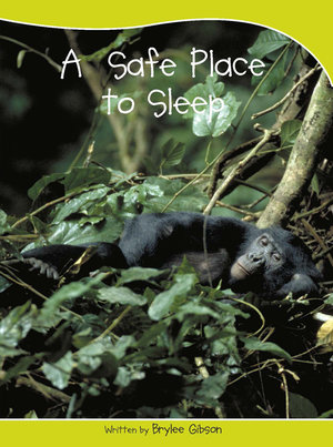 A Sails Take-Home Library Set : A Safe Place to Sleep (Reading Level 7/F&P Level E) - Brylee Gibson