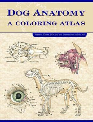 Dog Anatomy : A Coloring Atlas - Robert Kainer