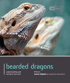 Bearded Dragon - Pet Expert : Pet Expert - Lance Jepson