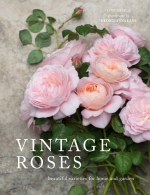 Vintage Roses : Beautiful Varieties for Home and Garden - Jane Eastoe