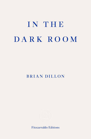 In The Dark Room - Brian Dillon