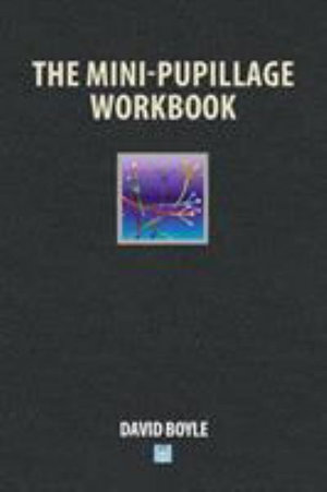 The Mini-Pupillage Workbook - David Boyle