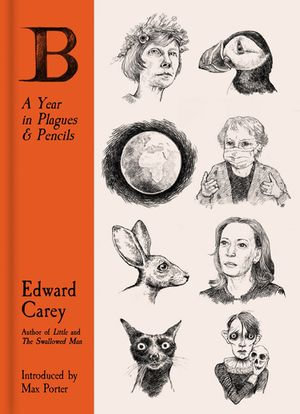 B : A Year in Plagues and Pencils - Edward Carey