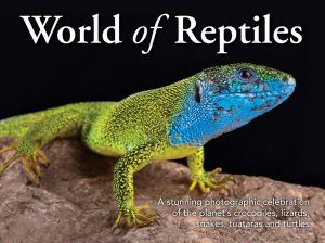 World of Reptiles : A stunning photographic celebration of the planet's crocodiles, lizards, snakes, tuataras and turtles - Reed New Holland